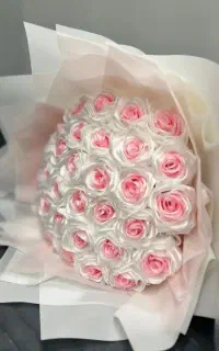 گل روبانی