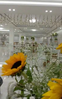 بله برون،عقد،عروسی،تولد،دورهمی ختم