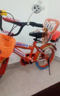 یک عدد دوچرخه 16 آس