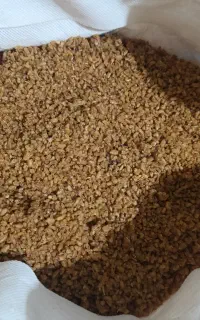 بلغور شیر گوسفندی امسالی