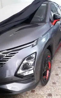 فونیکس fx خاکستری صفر خشک