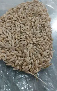 خرید   جو   نقد  انگوت و گرمی