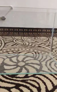 آکواریوم شیشه خم به همراه تجهیزات