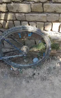 دوچرخه