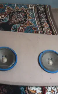 4 عدد میدرنج تمیز درحدنو