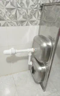 سینگ دوقلو درحد نو