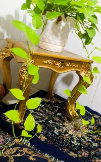 فروش مبل