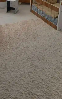 فرش ۶متری پینترسی