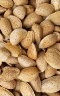 بادام تلخ ملایر