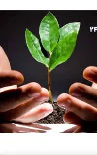 ترک اعتیاد در منزل
