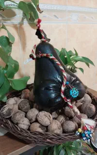 هیزه مسافرتی