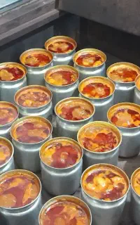 فر دیزی ۶۴ عددی تمام استیل و کفی چدنی