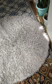 پادری