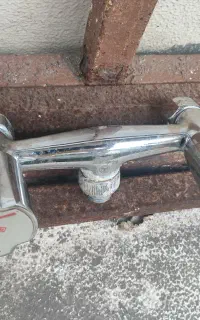 شیر حمام قهرمان