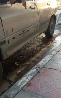 پراید 85