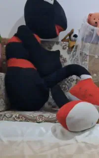 مورچه بزرگ سیاه  قد 170