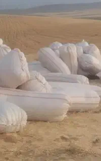 کاه