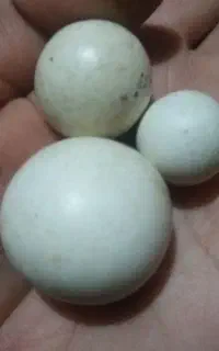 سنگ آسیاب و تسبیح دست ساز هسته خرما