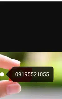 09195521055