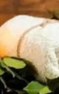یه خانم جهت نظافت منزل