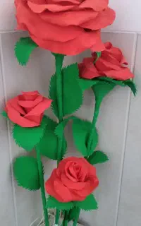 گل قولپیکر آباژور