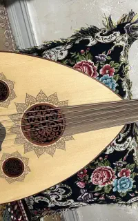 سالم سالم زیر قیمت