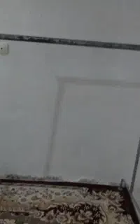 رگال