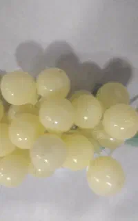 میوه های منصوعی