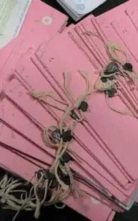 وکیل متخصص ملکی و اراضی