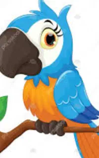 طوطی پیدا شده