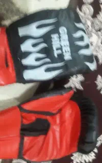 دستکش بوکس