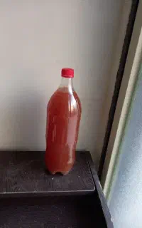 ابغوره خونگی
