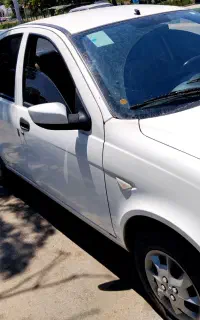 ساینا