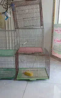 قفس پرنده