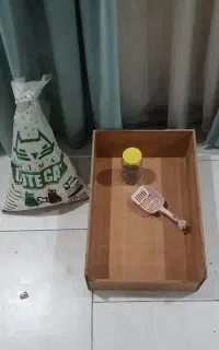 ظرف خاک گربه