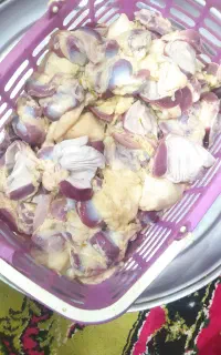 پاک کرده و پاک نگرده