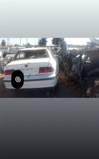 سمند تصادفی