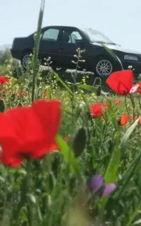 مسافر از تهران به مرز مهران