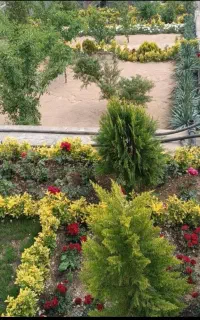 خدمات باغبانی تعویض خاک گلدان کاشت گل فضای سبز