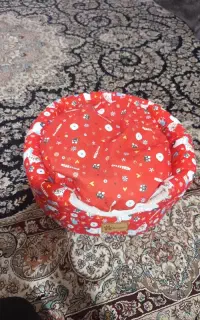 25000000