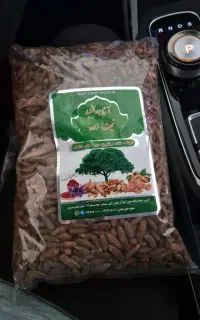 چلغوز (مغز سنوبر)