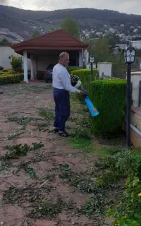خدمات باغ بانی