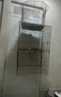 قفسه پرنده