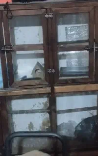 باکس مخصوص جفتگیری پرنده