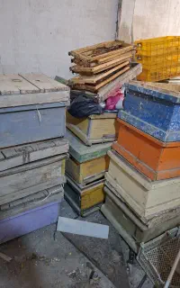 کندو زنبور عسل