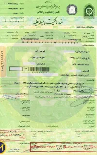 خواهان ضامن با برگ‌سبز هستم