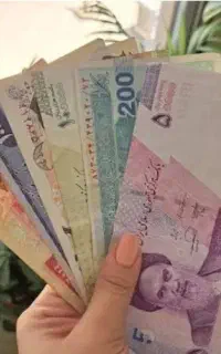 ضامن کارمند میخام