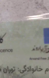 کارت ماشین پیدا شده توران صمصامی