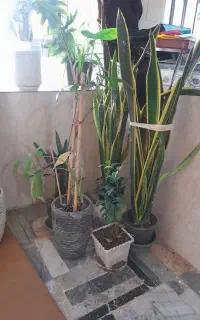 وسایل منزل