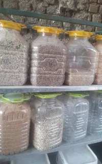 آسیاب جو.ذرت گندم لپه کردن نخود.ترخینه حلیم .جوجوش